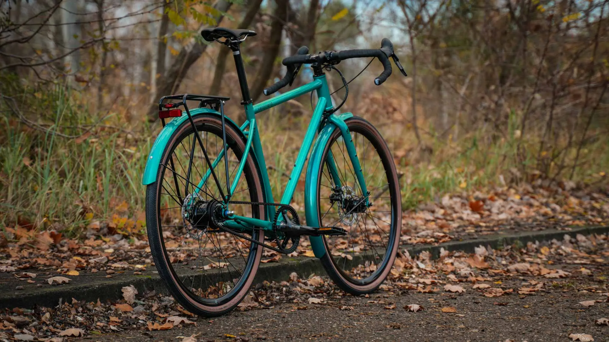 veloheld.alleyX in blaugrün Komplettansicht vom Rad am Waldrand