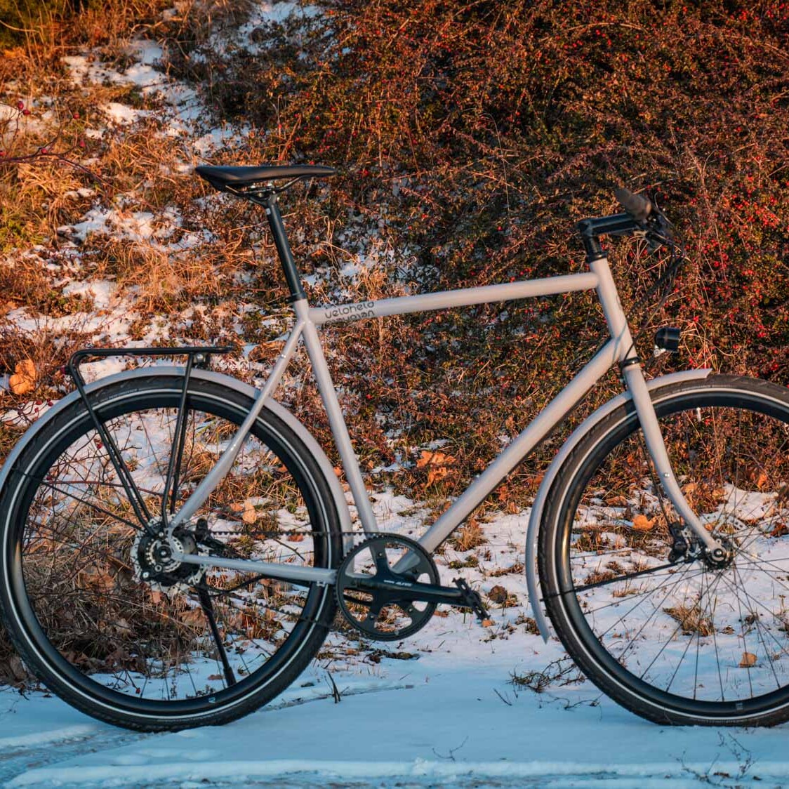 ein graues veloheld.lane steht im Schnee im Hintergrund sind braune Büsche zusehen