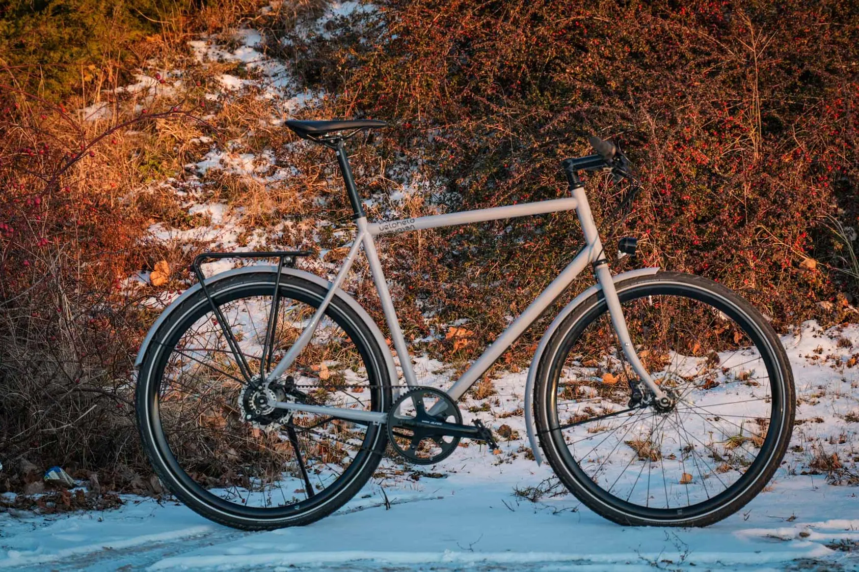ein graues veloheld.lane steht im Schnee im Hintergrund sind braune Büsche zusehen