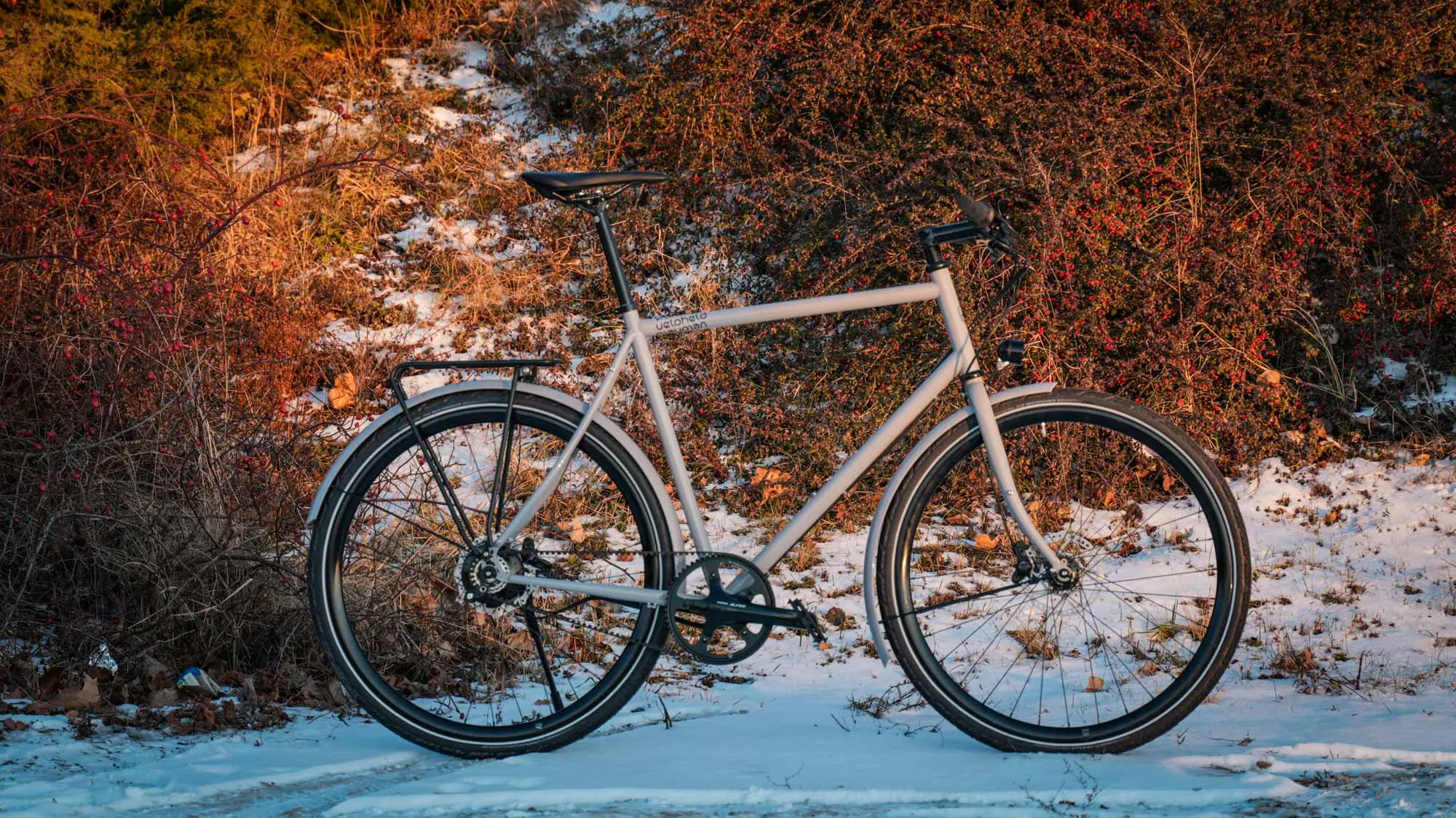 ein graues veloheld.lane steht im Schnee im Hintergrund sind braune Büsche zusehen