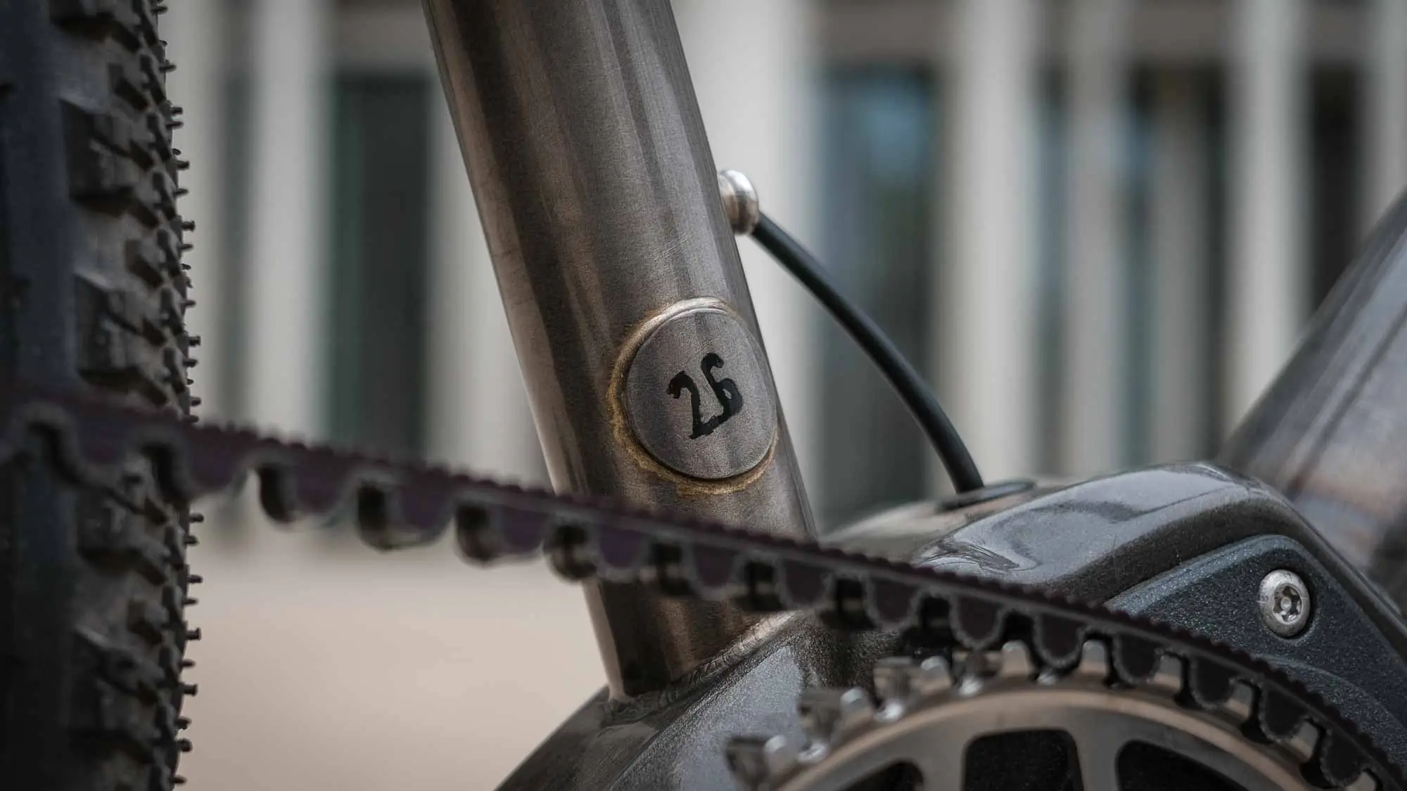 veloheld iconX Pinion Gravelbike Detail mit Pinion Getriebe und Riemenantrieb