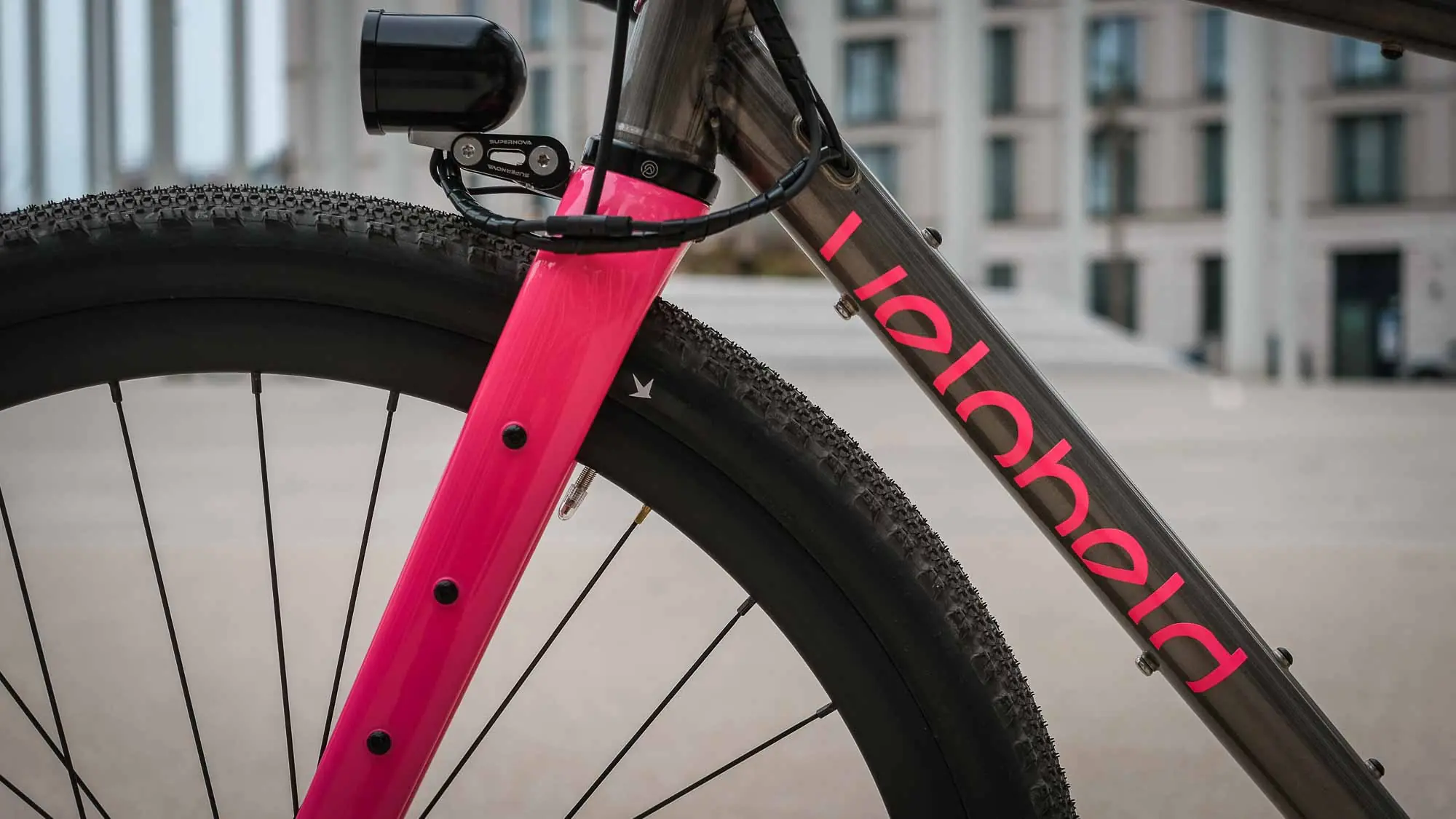 veloheld iconX Pinion Gravelbike Detail mit pinker Gabel und Rahmenlogo